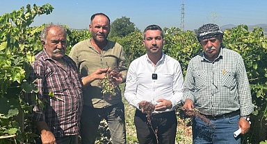 İYİ PARTİLİ AKAN ÜZÜM ÜRETİCİLERİNE SAHİP ÇIKTI