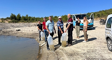 BÜYÜKŞEHİR, GÖLETLERE 30 BİN ADET YAVRU SAZAN BALIĞI BIRAKTI