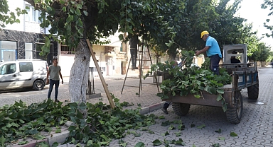 Turgutlu Belediyesi Park ve Bahçeler Müdürlüğü Ekiplerinden Yoğun Mesai