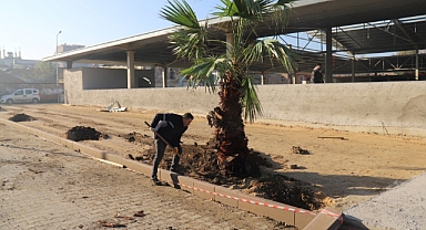 Park ve Bahçeler Müdürlüğünden Turgutlu’da Kapsamlı Çalışma
