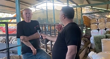 Kurbanlık Fiyatları Belli Oluyor