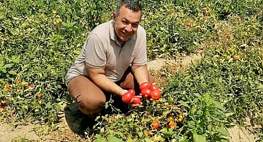 Başkan Serhat Orhan'dan domates fiyatına tepki