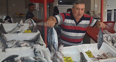 İkizler Balıkçılık Yoğun İlgi Görüyor 