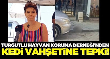 Turgutlu Hayvan Koruma Derneği'nden kedi vahşetine sert tepki!