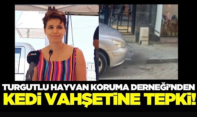 Turgutlu Hayvan Koruma Derneği'nden kedi vahşetine sert tepki!