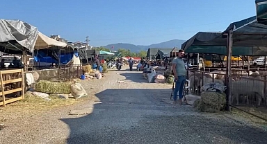 Turgutlu Kurban Pazarı'nda Beklenen Hareketlilik Yok