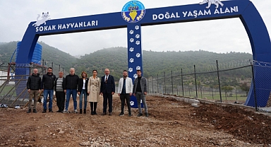 Turgutlu Belediyesinden Sahipsiz Sokak Hayvanları İçin Güvenli Bir Yaşam Alanı
