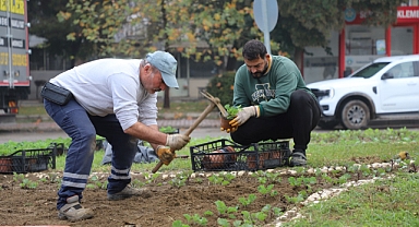 Turgutlu'da Park ve Bahçeler Müdürlüğü Ekipleri Yoğun Çalışma İçerisinde