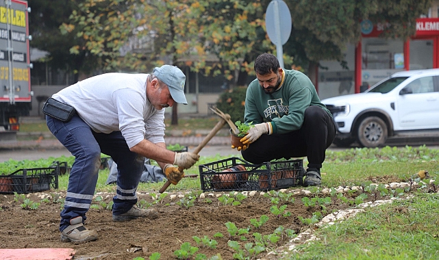 Turgutlu'da Park ve Bahçeler Müdürlüğü Ekipleri Yoğun Çalışma İçerisinde