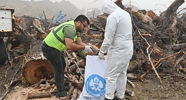 Büyükşehir’den İhtiyaç Sahiplerine Odun Desteği
