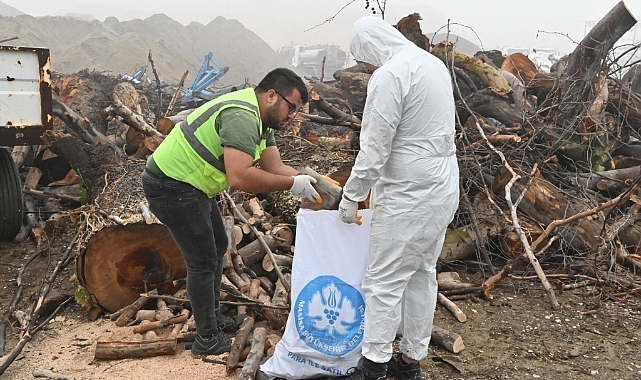 Büyükşehir’den İhtiyaç Sahiplerine Odun Desteği