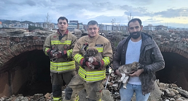 Manisa İtfaiyesi’nden Hayat Kurtaran Müdahaleler